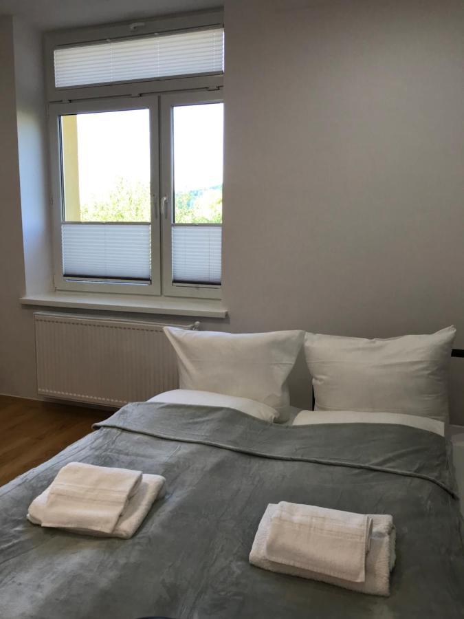Cristal Apartament Krynica - Zdroj エクステリア 写真