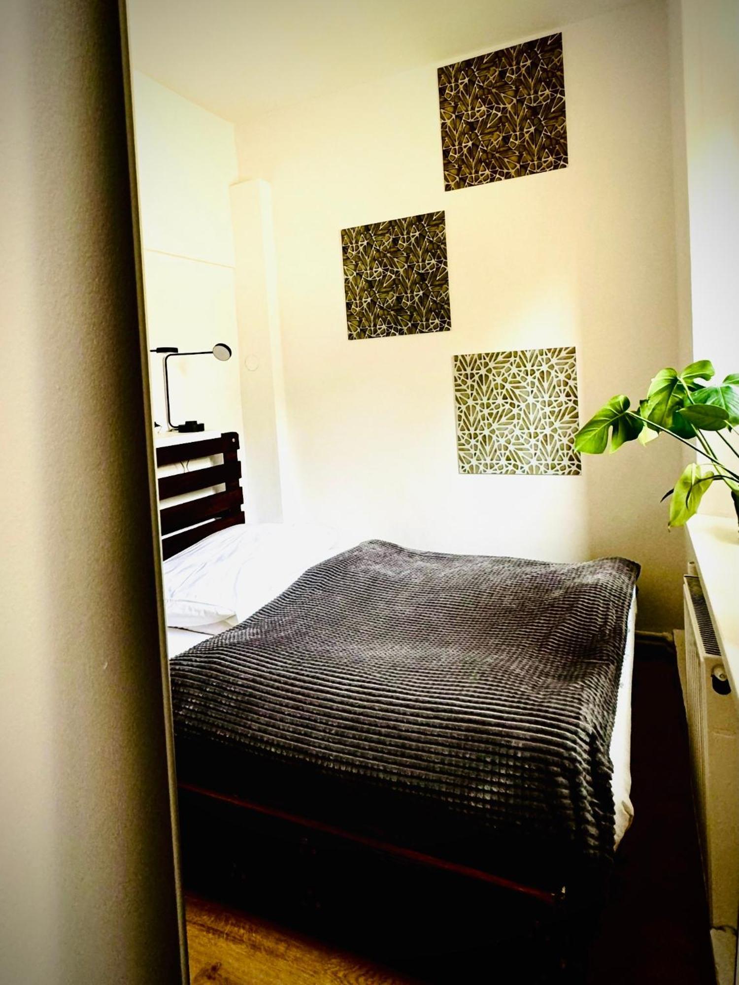 Cristal Apartament Krynica - Zdroj エクステリア 写真